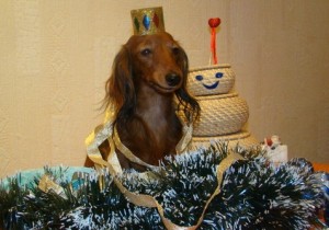 Поздравляю с Новым годом 2013!