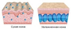 Восстановление упругости кожи ионофорез куриозина